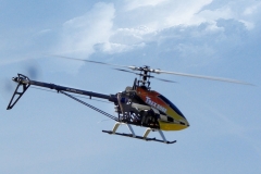 Trex 550