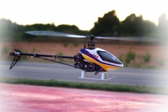 Trex 450