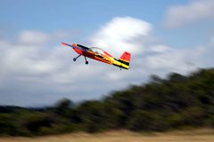 MG_9293-scaled